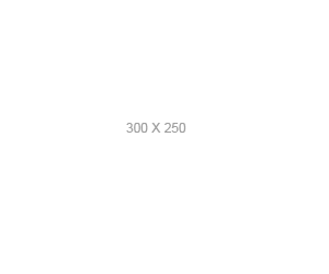 300x250