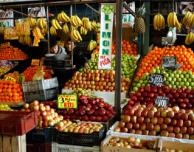 Adiós a las semillas / Eigenes Saatgut Adé