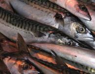 Pescado solo una vez al mes | Fisch nur ein Mal im Monat