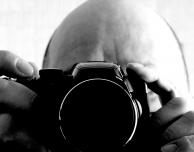 ◄ Briznas de hierba ► Grashalme