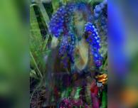 ◁ Teatro de gente latina en tierra hanseática ▷ Latino-Theater in der Hansestadt