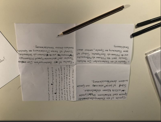 Los diversos textos manuscritos. Die unterschiedlich handgeschriebenen Texte. 